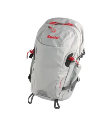 Backpack Kapriol KAP 25, gray