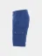 Arbeits-Shorts Payper Rimini Summer, royal