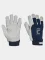 Winter work gloves Cerva PELICAN Blue Winter