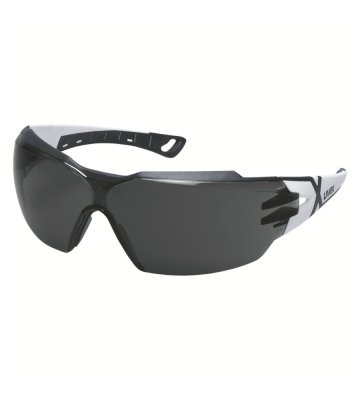 Safety glasses Uvex Pheos CX2, gray 14%, black-white