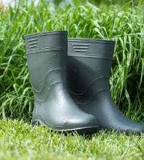 Boots Ardon DAMP