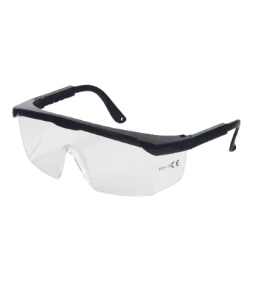 Safety glasses Cerva RHEIN, clear