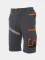 Stretch work shorts Payper Technik Next 4W, smoke