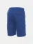 Arbeits-Shorts Payper Rimini Summer, royal